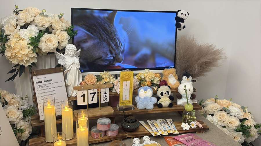 无锡宠物单独火化